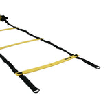 Agility Training Ladder